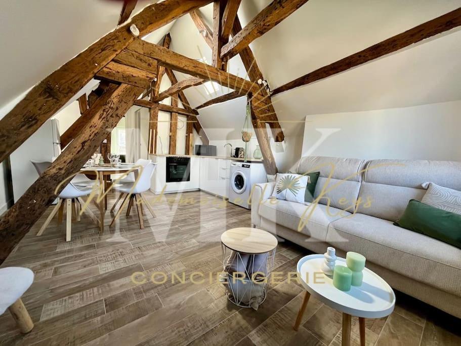 Le Cosy - Hyper Centre Ville Санс Екстериор снимка